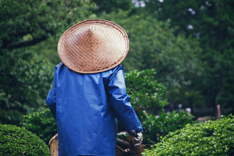 Gardening Volunteer