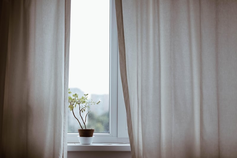 Small Spaces Indoor Plants